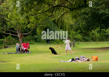 Frauen Kinder und Hunde in einem Park an einem Sommertag Stockfoto