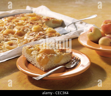 Aprikosen-Kuchen mit Mandeln und Sahne Stockfoto