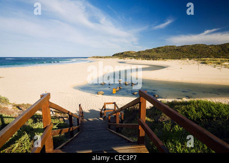 Ein Pfad führt bis zu der Mündung des Margaret River, West Australien, Australien Stockfoto