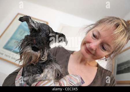 Pflege für Ihren Hund zu Hause, Baden, waschen Haarwäsche Pflege Zwergschnauzer, Heimstudio, UK Stockfoto