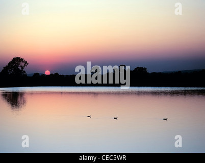Tring Stauseen in Hertfordshire Chilterns, bei Sonnenuntergang Stockfoto