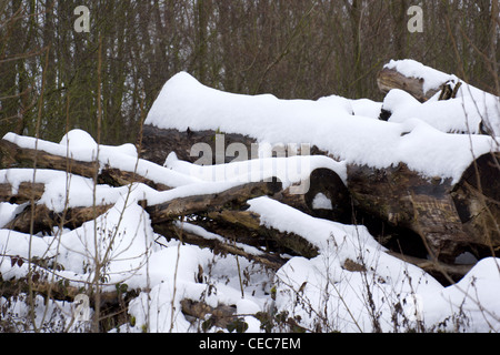 Eine schneebedeckte Landschaft im ländlichen Raum in der Landschaft Stockfoto