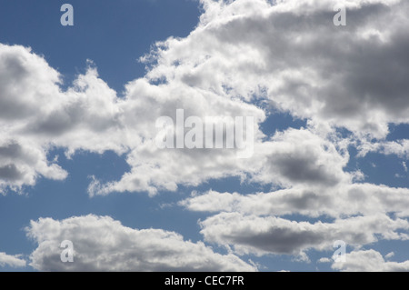 Wunderschön beleuchtete Wolken schweben in einem blauen Nachmittag Florida-Himmel. Stockfoto