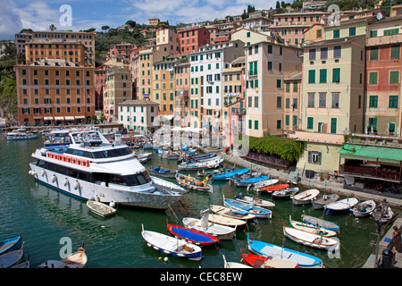 Angeln Hafen von Camogli, Fischerdorf an der Provinz Genua, Ligurien, Levante, Italien, Mittelmeer, Europa Stockfoto