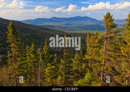 Blick auf Fichten und Fernbereich Bigelow aus den Appalachian Trail auf Crocker Berg in Stratton, Maine. Stockfoto