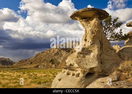 Caprock Bildung in der Nähe von Little Bullwhacker Creek in den Upper Missouri River Breaks National Monument, Montana, USA Stockfoto