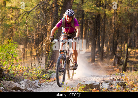 Courtney Feldt Mountainbikes auf staubigen Singletrails der Whitefish Trail in der Nähe von Whitefish, Montana, USA Herr Stockfoto