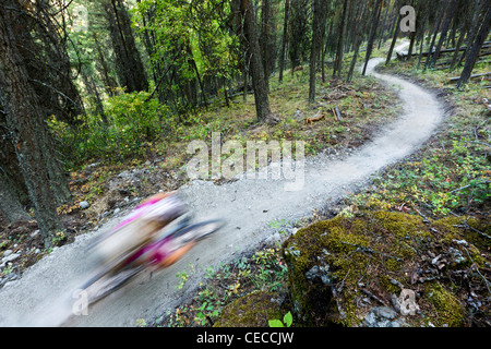 Courtney Feldt Mountainbikes auf staubigen Singletrails der Whitefish Trail in der Nähe von Whitefish, Montana, USA (MR) Stockfoto