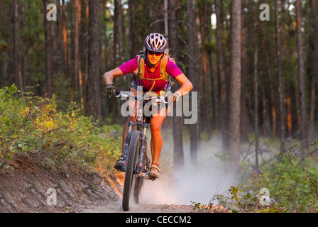 Courtney Feldt Mountainbikes auf staubigen Singletrails der Whitefish Trail in der Nähe von Whitefish, Montana, USA Herr Stockfoto