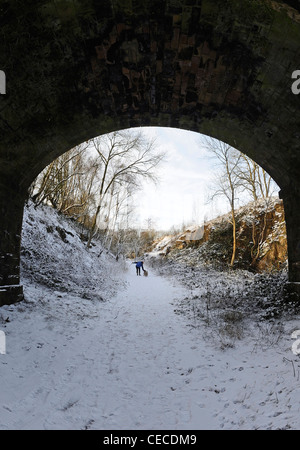 Frauen gehen ihren beiden Hunden auf einem Wanderweg unter einem Stein Brücke gebaut. Stockfoto