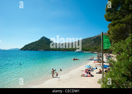 Hauptstrand Formentor, Cala Pi de sa Posada, Mallorca, Spanien Stockfoto