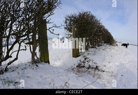 Mann und Frau zu Fuß entlang dem Schnee bedeckt Fußweg über ein Feld mit ihrem Hund. Stockfoto