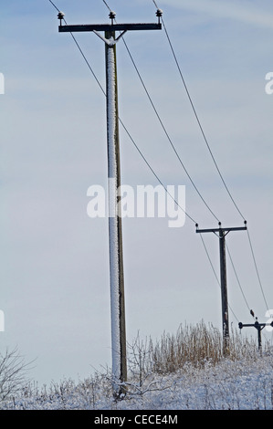 11kV 3 Phase Overhead Hochspannungsleitungen auf Schnee montiert Holzstangen abgedeckt. Stockfoto