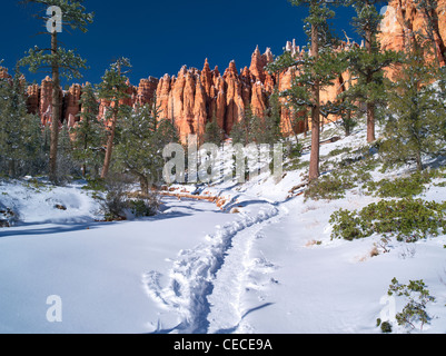 Weg mit Schnee im Bryce-Canyon-Nationalpark, Utah Stockfoto