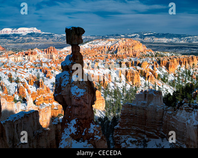 Thors Hammer mit Schnee. Bryce Canyon National Park, Utah. Stockfoto