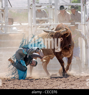 Socorro, New Mexico, USA. Wettbewerber aus seiner Halterung fallen, während die Bullenreiten Wettbewerb Stockfoto