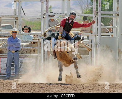 Socorro, New Mexico, USA. Teilnahme an der Bullenreiten Wettbewerb während der jährlichen Rodeo Konkurrent. Stockfoto