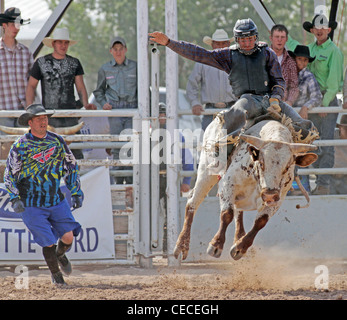 Socorro, New Mexico, USA. Teilnahme an der Bullenreiten Wettbewerb während der jährlichen Rodeo Konkurrent. Stockfoto