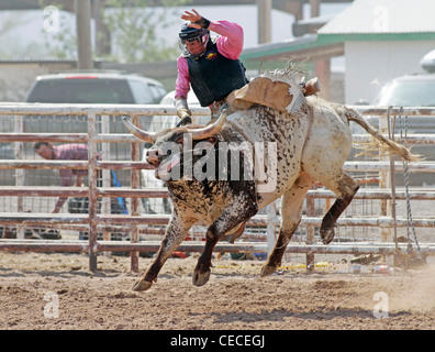 Socorro, New Mexico, USA. Teilnahme an der Bullenreiten Wettbewerb während der jährlichen Rodeo Konkurrent. Stockfoto