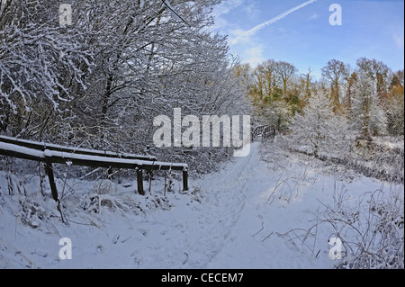 Eine schneebedeckte Wanderweg führt bis auf eine kleine Holzbrücke und eine Decke aus Schnee bedeckt den Boden und Bäumen. Stockfoto