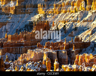 Schnee auf Hoodoos. Bryce Canyon National Park, Utah. Stockfoto