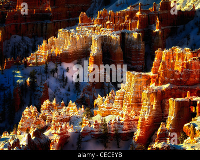 Schnee auf Hoodoos. Bryce Canyon National Park, Utah. Stockfoto