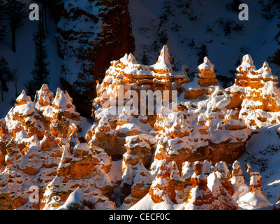 Schnee auf Hoodoos. Bryce Canyon National Park, Utah. Stockfoto