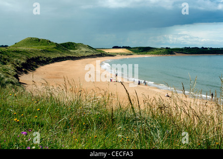 Der Strand von Embleton Bay in Northumberland, England. Stockfoto