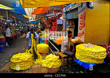 Gelbe Blumen zum Verkauf auf dem Markt der Devaraja in Mysore, Karnataka, Indien. Stockfoto