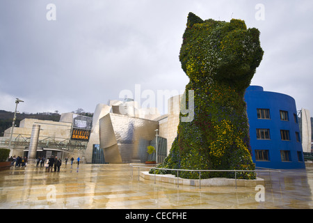 Das Guggenheim Museum in Bilbao entworfen von dem Architekten Gehry Stockfoto