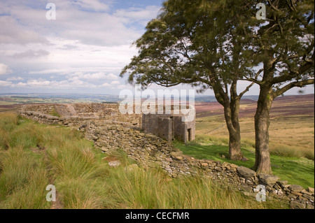 Top Withens, bröckelt Bauernhaus Ruine & sonnenbeschienenen remote Pennine Moors (Inspiration für Wuthering Heights?) - in der Nähe von Haworth, West Yorkshire, England, UK. Stockfoto