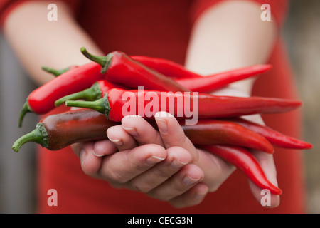 Person, die red hot chili peppers Stockfoto