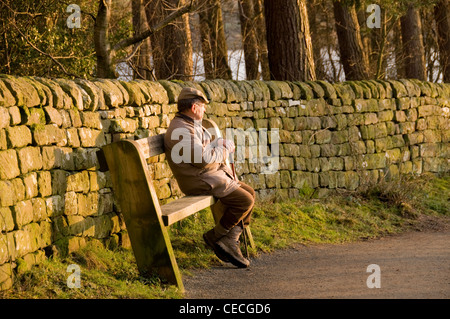 Mann (Walker) auf hölzernen Sitzbank sitzen, ruhen & Relaxen in ruhiger sonniger scenic Spot (durch Steinmauer & Bäume) - swinsty Reservoir, Yorkshire, GB, UK Stockfoto