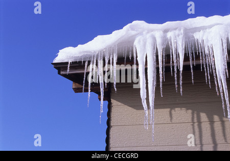 Eiszapfen, Shiga-Kogen, Präfektur Nagano, Japan Stockfoto