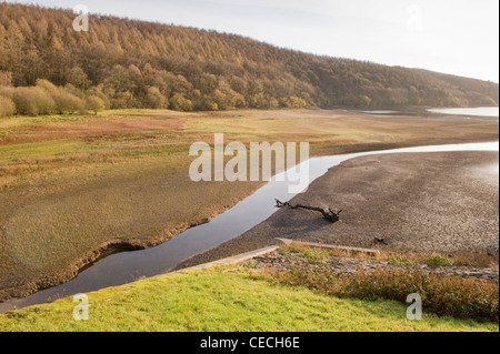 Stream läuft über ausgetrockneten Bett des Lindley Holz Behälter (niedriger Wasserstand und Trockenheit nach trockenen Herbst) - North Yorkshire, England, UK. Stockfoto