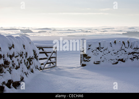 Schnee auf Ackerland in der Nähe von Hexham Nordengland Stockfoto