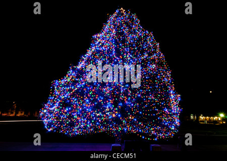 Idaho Zustand offizielle Weihnachtsbaum - 2011 Stockfoto