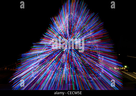 Idaho Zustand offizielle Weihnachtsbaum - 2011 Stockfoto