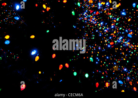 Weihnachtsbeleuchtung an Idaho Zustand offizielle Weihnachtsbaum Stockfoto