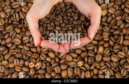 Zwei Frau Hände halten Kaffee Bohnen über einem Hintergrund Kaffeebohnen. Stockfoto