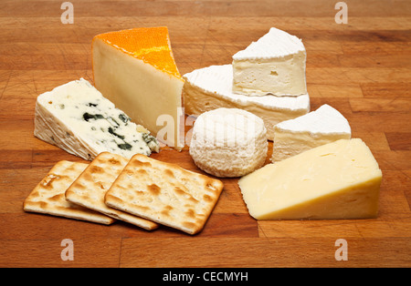 Käse vom Brett mit Camembert, Roquefort Blauschimmelkäse, Ziegenkäse, Cheddar und St. Paulin Käse Stockfoto