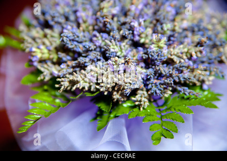 Lavendel Strauß Stockfoto