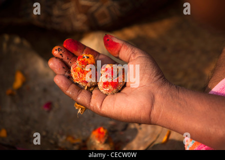 Indien, Uttar Pradesh, Varanasi, Hände der brahmanischen Priester Dirigieren am frühen Morgen Puja am Fluss Ganges ghats Stockfoto