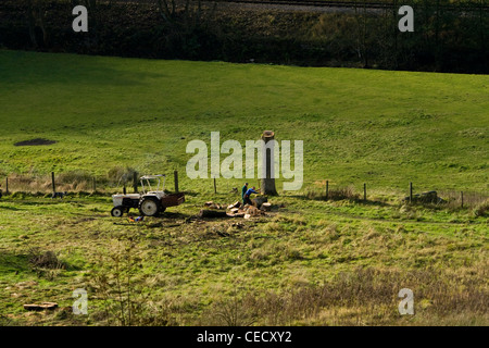 Zwei Bauern Fällen einen Baum in einem Feld. Stockfoto