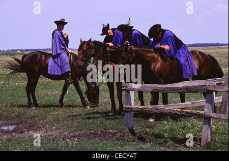Csikos montiert Pferd - Hirten in der traditionellen Kleidung des Standorts am Nonius ungarische Pferderasse in der Großen Ungarischen Tiefebene, der Puszta der Hortobagy National Park in der Nähe von Debrecen Ostungarn Stockfoto