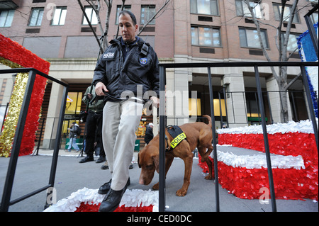 In Battery Park City vor der Super Bowl Ticker Tape Parade am 7. Februar 2012 inspiziert die NYPD Bomb Squad aller Schwimmer. Stockfoto