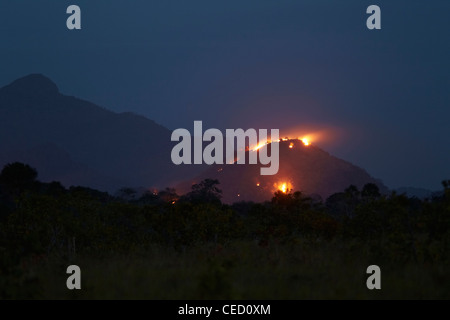 Brände, begonnen von Viehzüchter auf der Savanne Ebenen, Fisch, Guyana, Südamerika Stockfoto