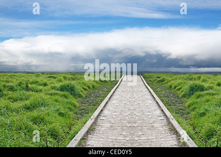 Ein Holzweg durch Grün in Richtung des Himmels Stockfoto