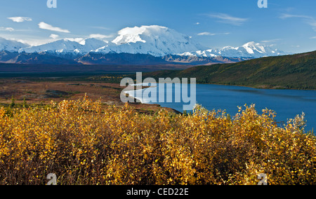 Mount McKinley (20,320 ft) und Wonder Lake. Denali-Nationalpark. Alaska. USA Stockfoto