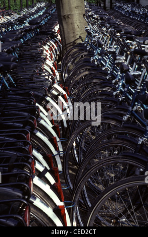 Fahrräder zu vermieten geparkt in Amsterdam Niederlande Stockfoto